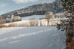 Aussicht Apartment Jakob