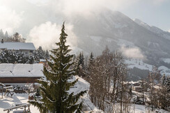 Aussicht Apartment Iris