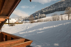 Aussicht Apartment Hannes