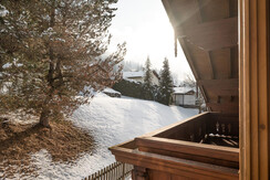 Aussicht Apartment Hannes