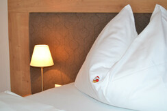 Zimmer Radstadt Ski amade