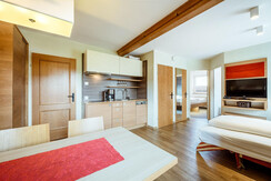 appartements_flachau_harmls (3)