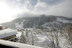View Grafenberg from your apartment
