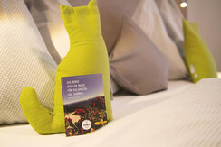 16-haus-rainer-hochkoenig-apartement-salzburg-bett