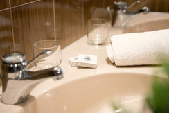 14-haus-rainer-hochkoenig-apartment-salzburg-bad-d