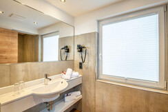 Badezimmer-Variante modern in einem Bräuzimmer