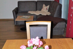 App Seeblick Blumen1