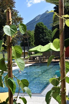 Pool Vitaler Landauerhof