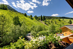 Aussicht ins Grüne direkt vom Appartement
