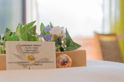 Welcome to Landhaus Tripolt