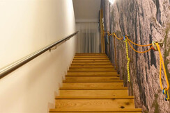 Stiegenaufgang 1 Stock: 