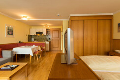 Appartement-Monuth-Bad-Hofgastein-Typ-D-Studio