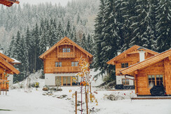 Naturchalet in Winterstimmung Chalet 6