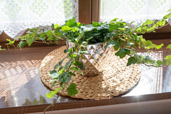 NEUHOFGUT_Fensterbank