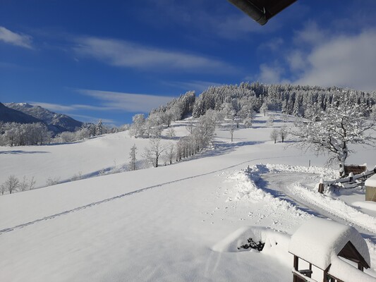 Aussicht aus der Wohnküche