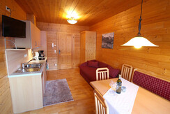 Apartment living space in a log cabin