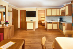 appartement-typ-b-wohn-und-essbereich