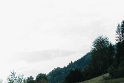 SonnhofAlpendorf-josalzburg-salzburgerland-oesterr