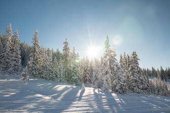 Planai_Schladming-Dachstein_5