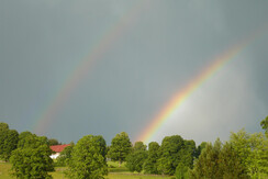 Regenbogen