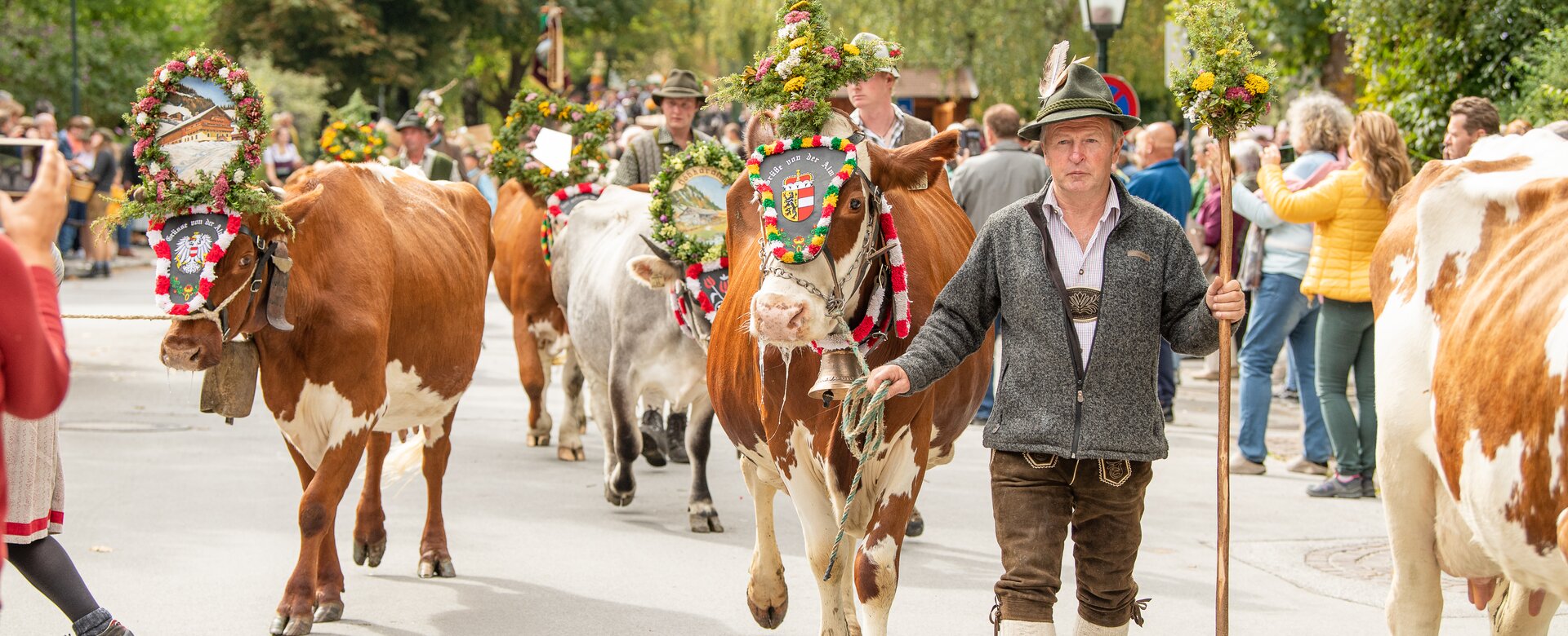 Ein Bauer geht mit einer geschmückten Kuh beim Ernteumzug voran | © Gasteinertal Tourismus GmbH