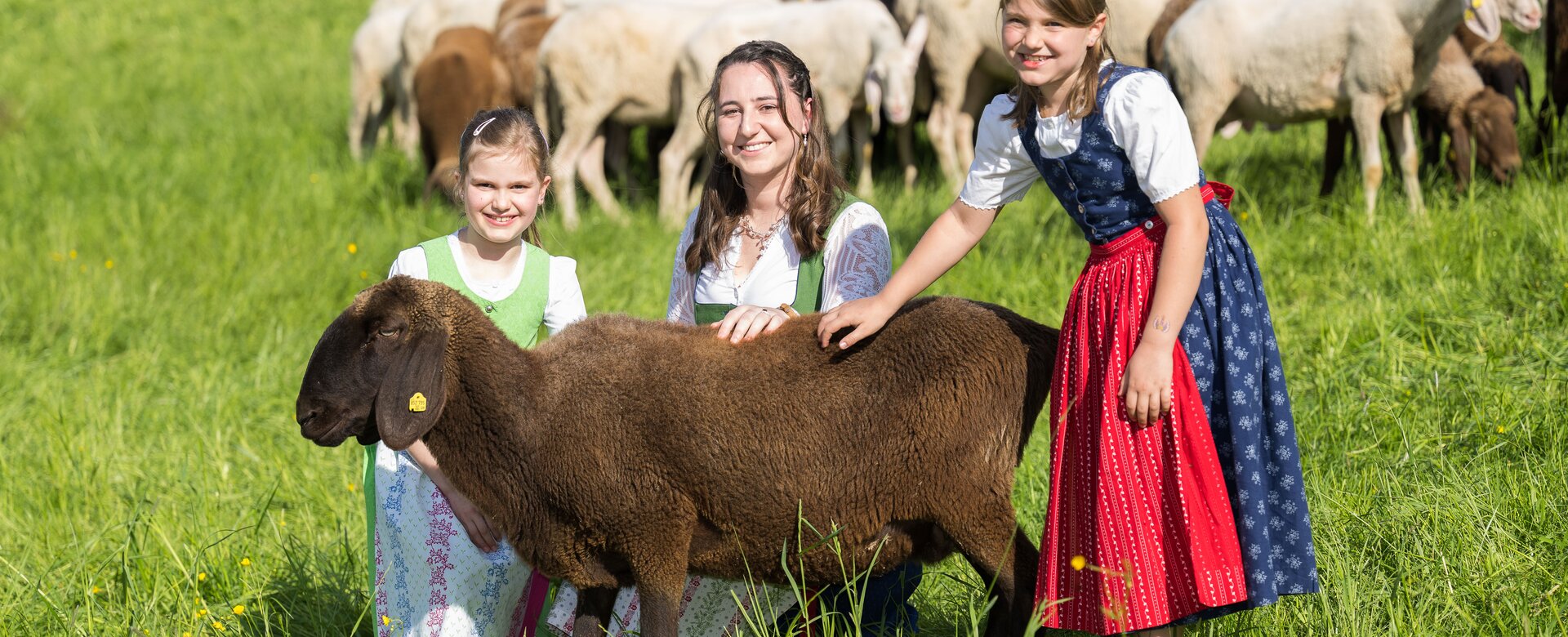 drei Personen streicheln ein braunes Schaf und im Hintergrund ist eine Schafherde zu sehen | © Hauser Kaibling