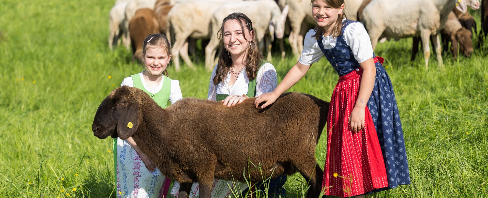 Three people are stroking a brown sheep and a flock of sheep can be seen in the background | © Hauser Kaibling