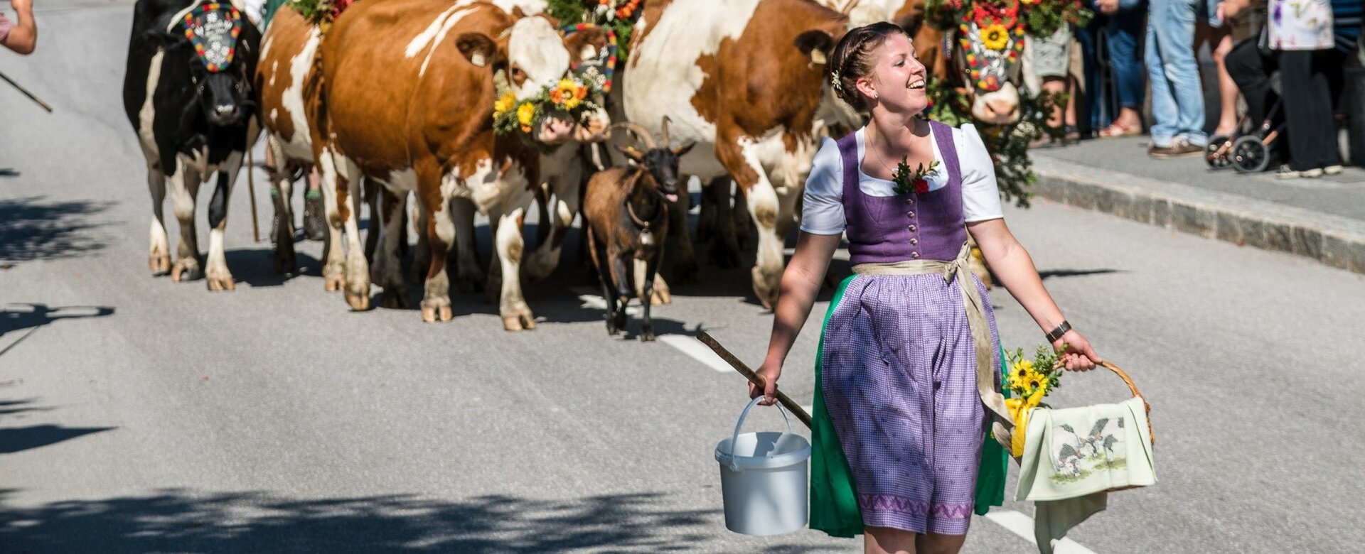 Herding the cows down in Filzmoos | © Filzmoos Tourismus