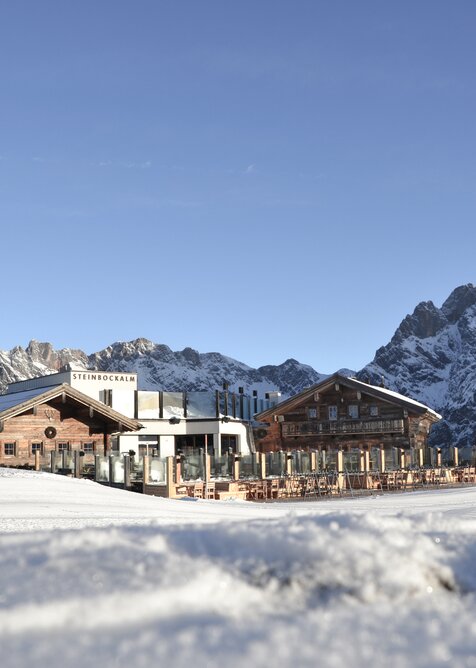 Steinbockalm in Dienten