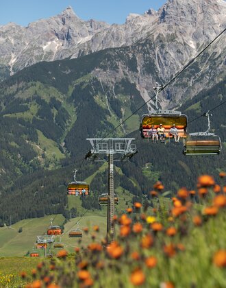 Orange chairlifts of Hochmaisbahn in summer, blooming alpine meadow in front, Hochkönig mountains in background. | © Roland Haschka