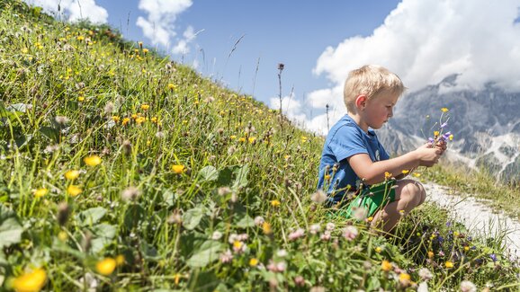 Kleiner Junge sitzt auf einer Almwiese und pflückt bunte Blumen vor imposanter Bergkulisse unter blauem Sommerhimmel. | © Felsch Fotodesign
