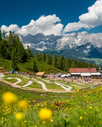 Kindergerechte Junior Bike Trails auf der Reiteralm mit Familien, blühender Wiese, Almhütte und Blick auf das Dachsteinmassiv. | © Reiteralm Bergbahnen
