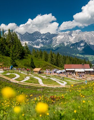 Kindergerechte Junior Bike Trails auf der Reiteralm mit Familien, blühender Wiese, Almhütte und Blick auf das Dachsteinmassiv. | © Reiteralm Bergbahnen