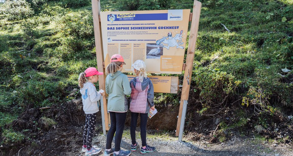 Drei Kinder mit Wanderpässen betrachten Infotafel über das Schneehuhn beim Erlebnisweg in Zauchensee. | © Matthias Fritzenwallner