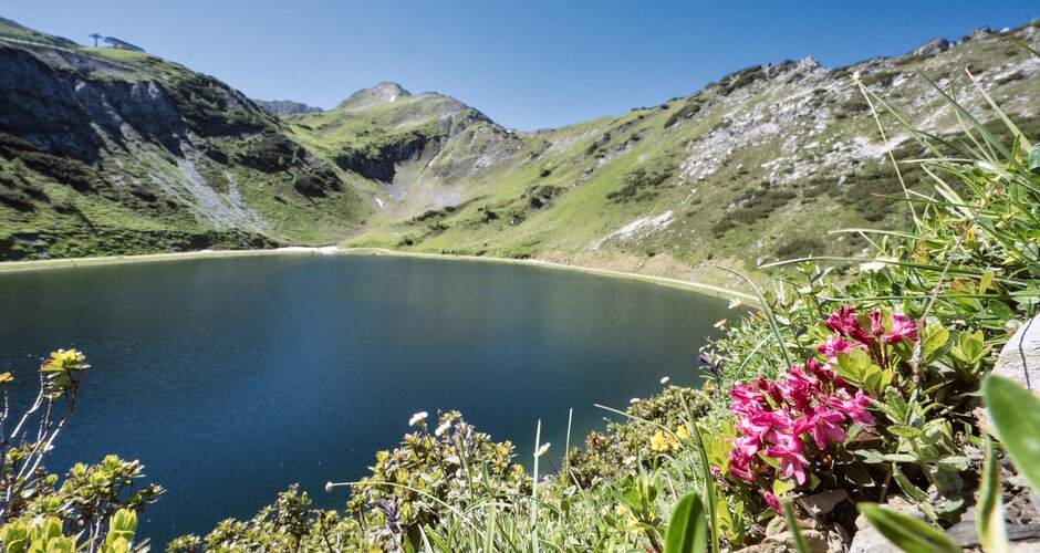 Blick auf tiefblauen Speichersee umgeben von Almwiesen, Alpenrosen und Bergen nahe Zauchensee im Sommer. | © Matthias Fritzenwallner