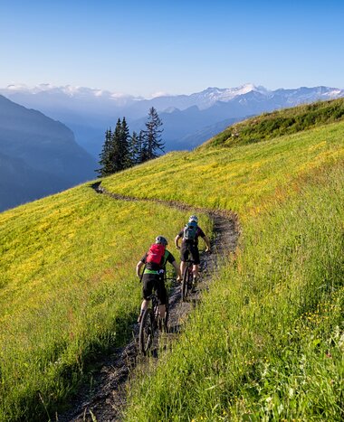 Two mountain bikers ride a single trail through a blooming meadow with views of Grossarl Valley and surrounding mountains. | © mtb_travel