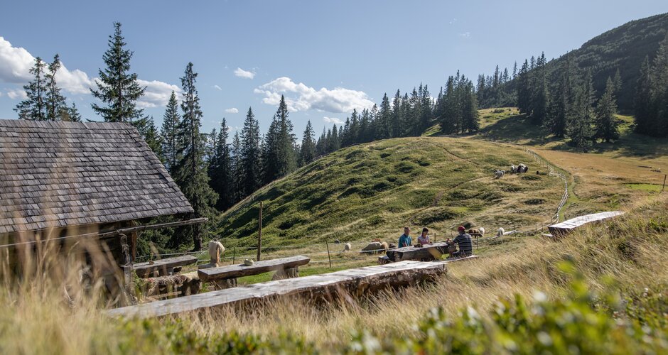 People at wooden tables by alpine hut with pasture slope and fir trees in summer | © Michael Grössinger