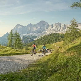 E-Biken und Mountainbiken durch die Natur in Schladming-Dachstein in Ski amadé | © Peter Burgstaller