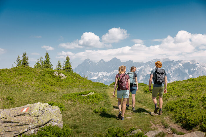 Drei Wanderer mit Rucksäcken gehen auf einem Bergweg durch grüne Almwiesen vor verschneiten Bergen und blauem Himmel. | © Mathäus Gartner