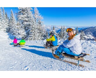 Four people sledding down a snowy track, surrounded by snow-covered trees and mountains. | © René Eduard Perhab
