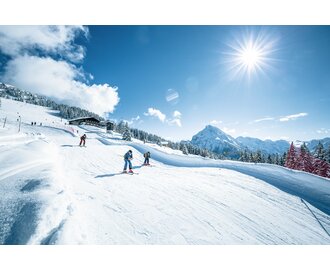 Skifahrer auf dem Skicross-Run bei Sonne, Schnee, Hügeln und Bergpanorama im Hintergrund | © Shuttleberg