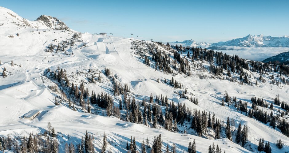 Shuttleberg ski area with shaped slopes, lifts, forest and mountains in the background