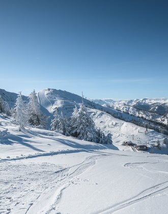 Snow-covered hills with ski tracks under a clear blue sky. | © Ski amadé