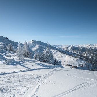 Snow-covered hills with ski tracks under a clear blue sky. | © Ski amadé