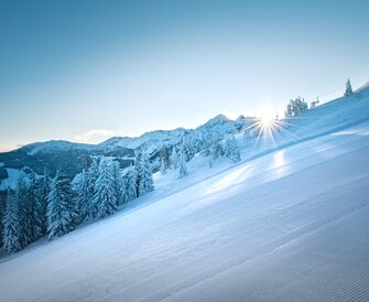 Shining sun over a groomed ski slope with snow-covered trees. | © Ski amadé