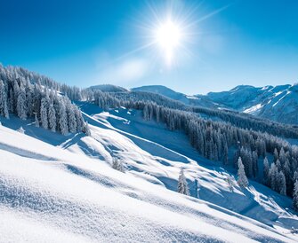 Snowy hangs and fir trees under bright sunshine. | © Ski amadé