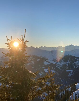 Sunset behind fir tree top with snowy mountain range and valley near Dorfgastein