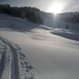 Ski touring track leads through sparkling powder snow in sunny winter scenery