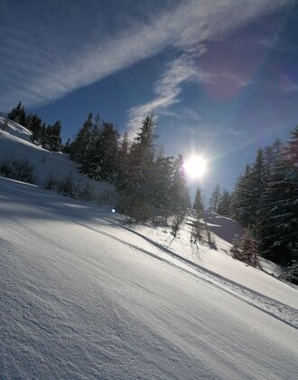 Sunny slope with ski touring track, snowy trees and blue sky in winter landscape