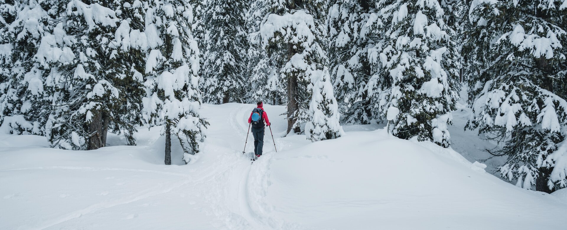 Ski tourers ascend through deep snowy winter landscape towards Graukogel | © Gasteinertal Tourismus GmbH, Christoph Oberschneider